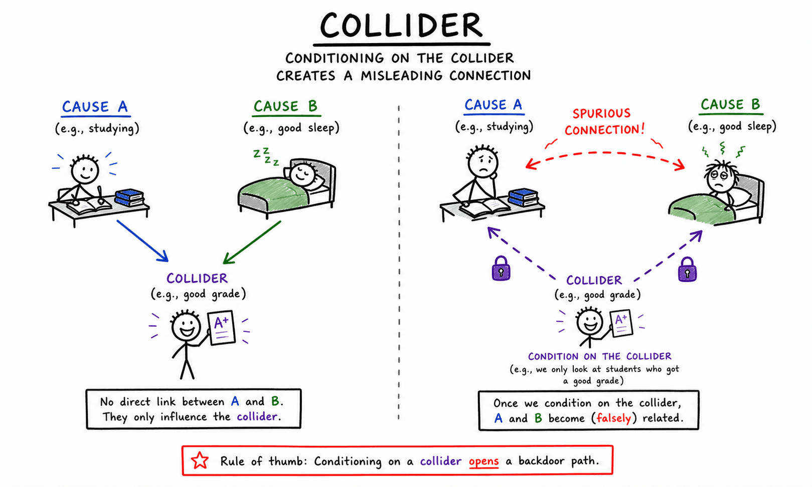 Hand-drawn illustration showing two causes feeding into a shared collider.